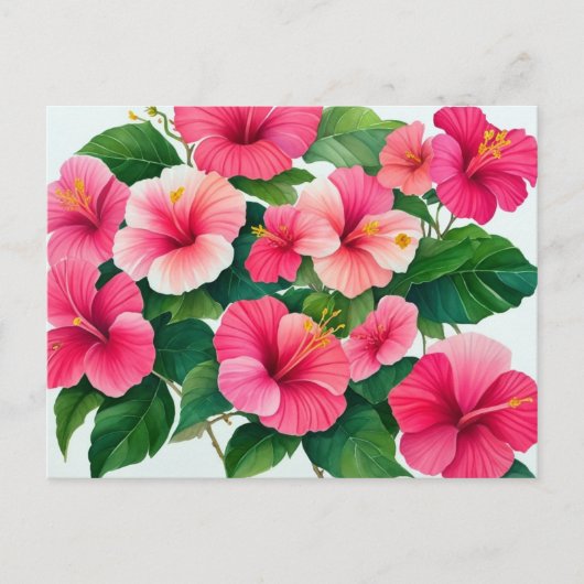 Tropische Hawaii roze-witte hibiscus Briefkaart (Voorkant)