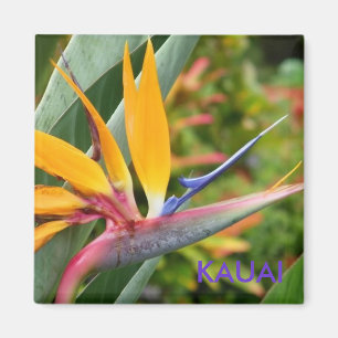 Tropische Hawaiian Flowers Bird-of-Paradise Kauai Magneet
