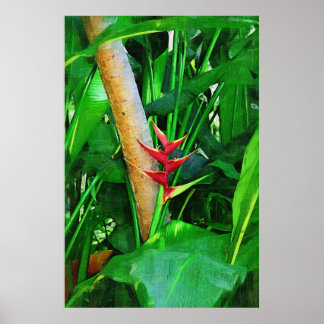 Tropische Heliconia - Lopen in de tuin Poster