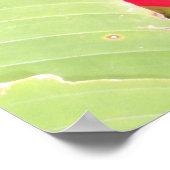 Tropische Heliconia Poster (Hoek)