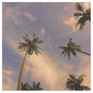 Tropische het paradijsHawaï van de palmzomer foto Stof