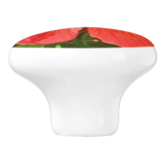 Tropische Hibiscus Flower Keramische Knop (Zijkant)