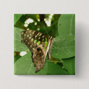 Tropische Iridescent Green Butterfly Button