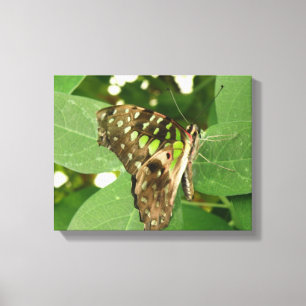 Tropische iriserende groene vlinder canvasprint canvas afdruk