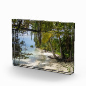 Tropische kever fotoblokken (Rechts)