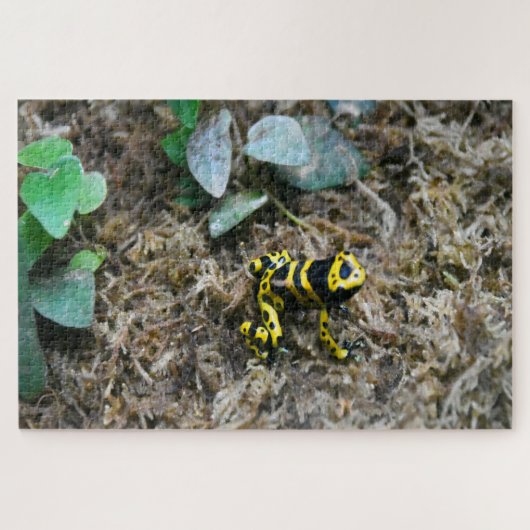 Tropische Kikkers. Legpuzzel (Horizontaal)