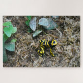 Tropische kikkers. legpuzzel (Horizontaal)