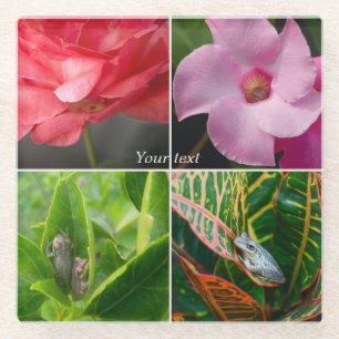 Tropische kleine boomkikkers in bloemen en bladere glazen onderzetter