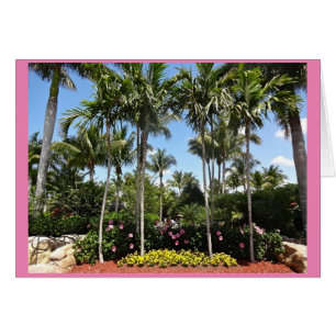 Tropische kokosnoot Plantation Bonita Springs Flor