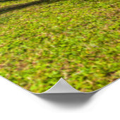 Tropische kustlijn 2 poster (Hoek)