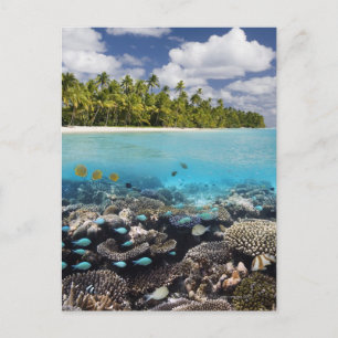 Tropische lagune in South Ari Atoll in Briefkaart