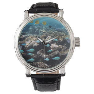 Tropische lagune   South Ari Atoll Horloge