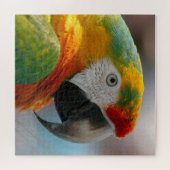 Tropische Macaw Parrot Legpuzzel (Horizontaal)