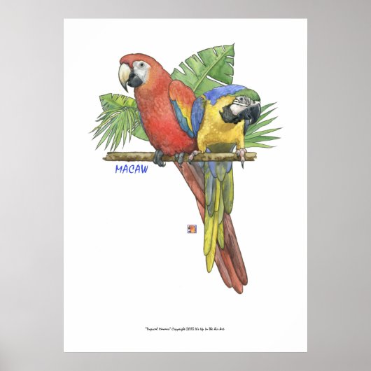 Tropische Macaws Poster (Voorkant)