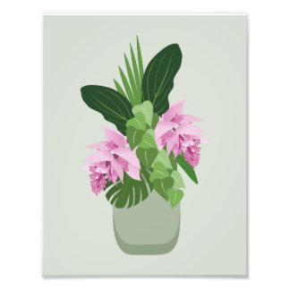Tropische Medinilla roze bloem in vaas op groen Foto Afdruk