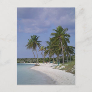 Tropische Montages Briefkaart