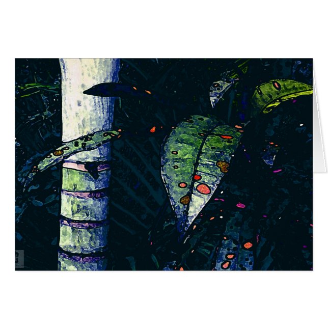 Tropische nacht (Voorkant Horizontaal)