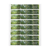 Tropische Natuur bos van palmbomen (Vel)