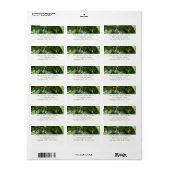 Tropische Natuur bos van palmbomen Etiket (Full Sheet)