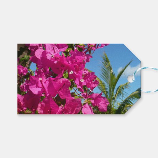 Tropische Natuur van Bougainvillea en Palm Cadeaulabel (Voorkant (Horizontaal))