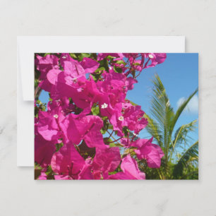 Tropische Natuur van Bougainvillea en Palm Kaart