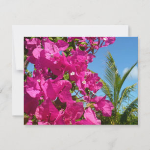 Tropische Natuur van Bougainvillea en Palm Kaart