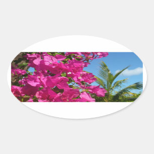 Tropische Natuur van Bougainvillea en Palm Ovale Sticker