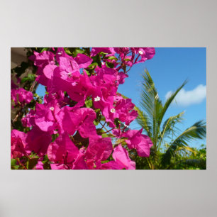 Tropische Natuur van Bougainvillea en Palm Poster