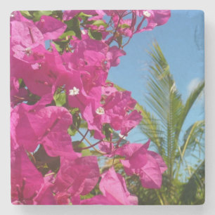 Tropische Natuur van Bougainvillea en Palm Stenen Onderzetter