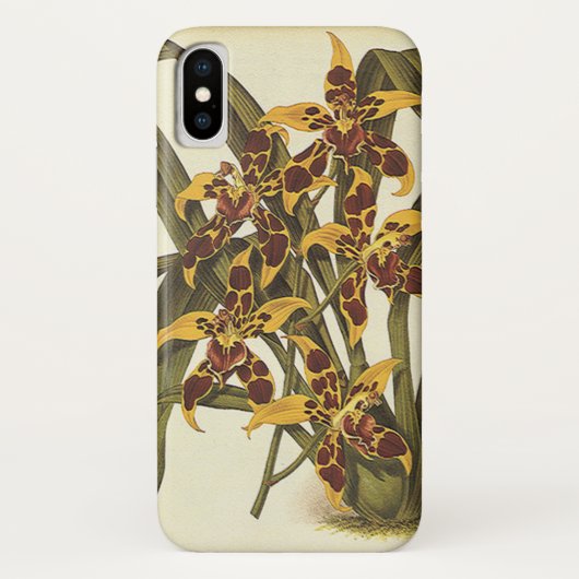 Tropische Odontoglossum Orchid Flowers Case-Mate iPhone Case (Achterkant)