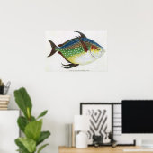 tropische ofah vis, zeewaterdier poster (Thuiskantoor)