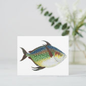 Tropische opaat, zeewaterdier briefkaart (Staand voorkant)