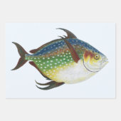 Tropische opaat,  zeewaterdier inpakpapier vel (Voorkant)