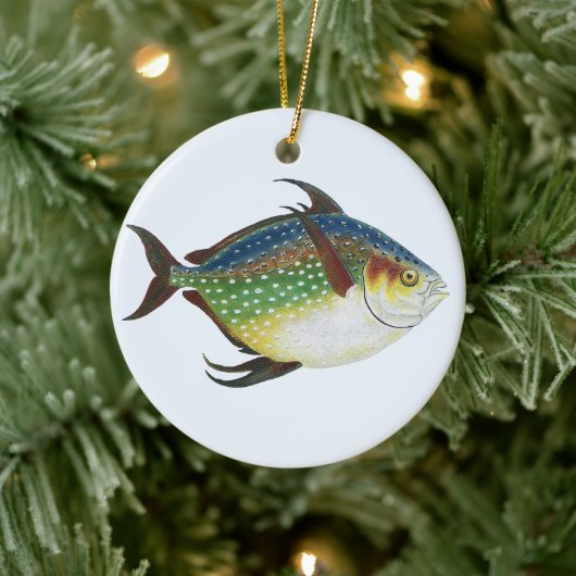 Tropische opaat,  zeewaterdier keramisch ornament (Boom)