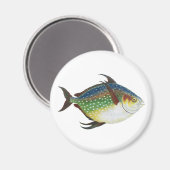 Tropische opaat,  zeewaterdier magneet (Voorkant / Achterkant)