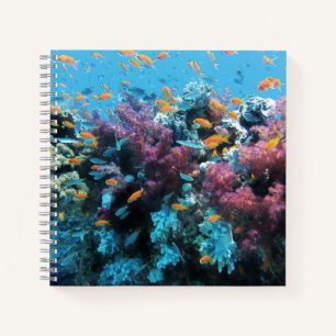 Tropische Oranje vis en roze koraal Notitieboek
