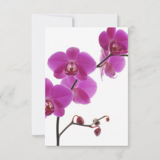 Tropische Orchidee Huwelijksuitnodiging Reactiekaa RSVP Kaartje