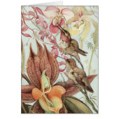 tropische orchideeën, bloemen en levende vogels (Voorkant)