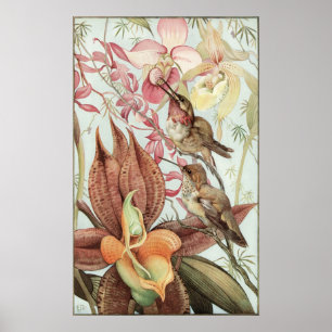  tropische orchideeën, bloemen en levende vogels poster