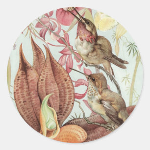 tropische orchideeën, bloemen en levende vogels ronde sticker