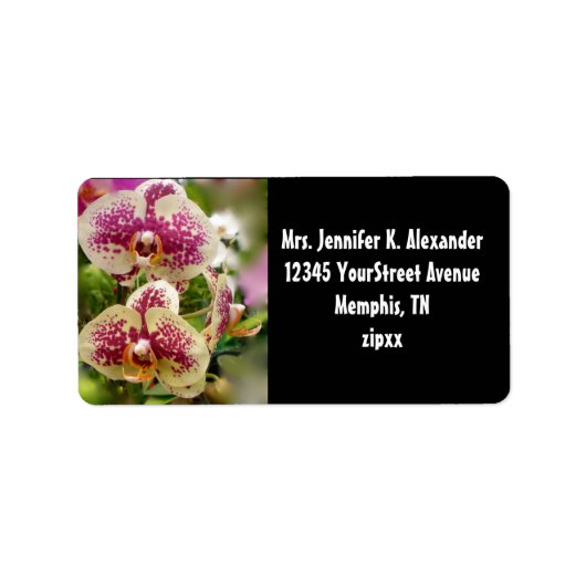 Tropische orchideeën etiket (Voorkant)