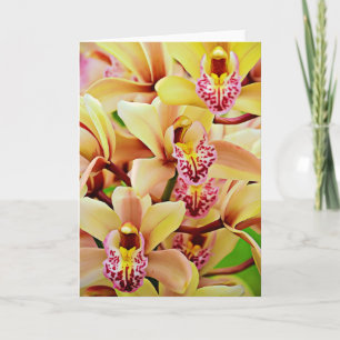 Tropische Orchids Scripture Kaart Psalm 34:15
