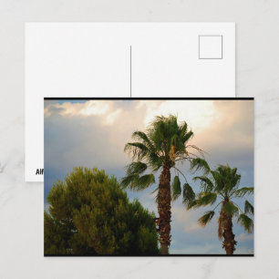 Tropische Palm Schemering Briefkaart