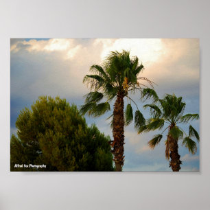Tropische Palm Schemering Poster