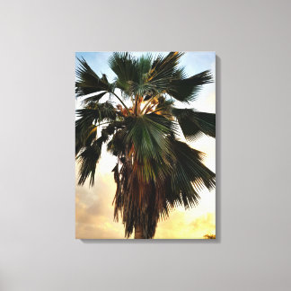 Tropische Palm Sunset – Uitgerekt Canvas Print