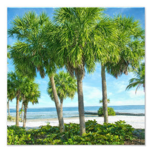 Tropische Palm Tuin Muur Kunst Kust Decoratie Foto Afdruk