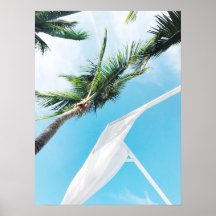 Tropische palmbomen onder blauwe hemelfotografie