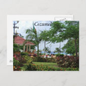 Tropische palmboom cozumel briefkaart (Voorkant / Achterkant)
