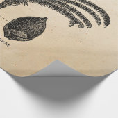  tropische palmboom in de Retro - Sjabloon van de  Cadeaupapier (Hoek)