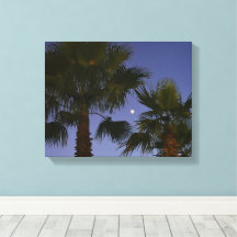 Tropische Palmboom Muurkunst Schemering Kuststreek